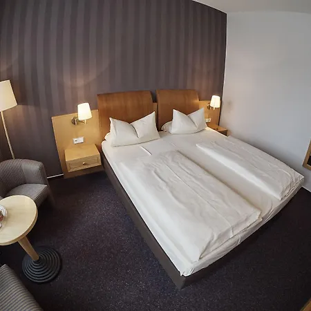 Ringhotel 호텔 3*