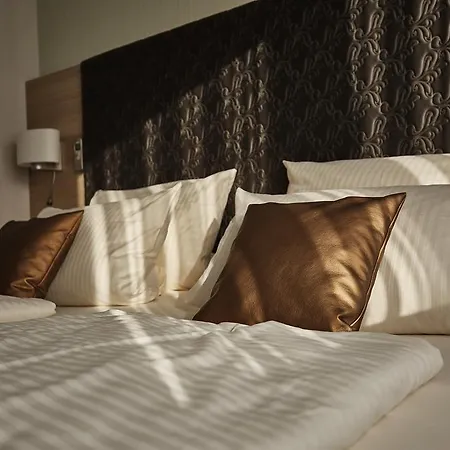 Ringhotel Hotel 3*