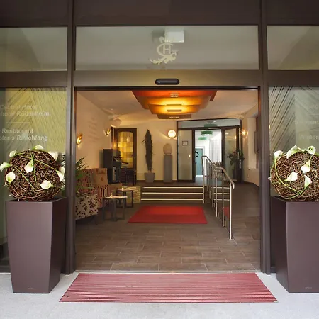 Hotel Ringhotel 3*