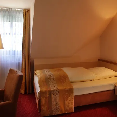 Hotel Ringhotel 3*