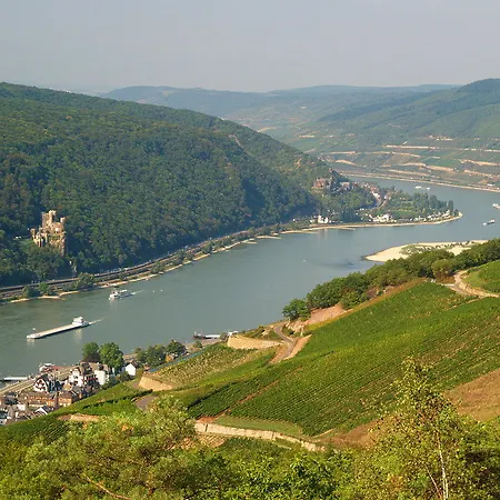 Ringhotel 3* Rüdesheim nad Renem