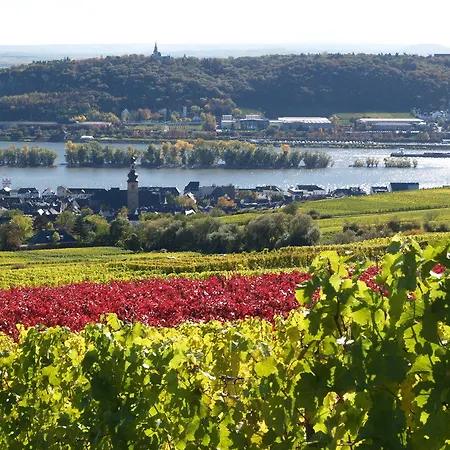 Hotel Ringhotel Rüdesheim nad Renem