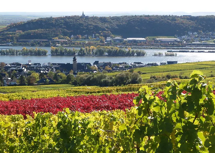 Hotell Ringhotel Rüdesheim am Rhein